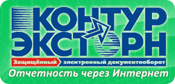 Отчетность через Интернет